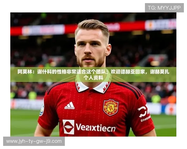 九游娱乐app赞助不莱梅h合作案例分享及对其他俱乐部合作的启示